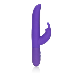 Cal Exotics – Bounding Bunny