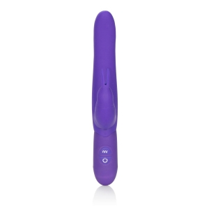 Cal Exotics – Bounding Bunny