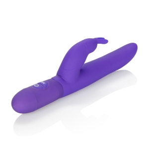 Cal Exotics – Bounding Bunny