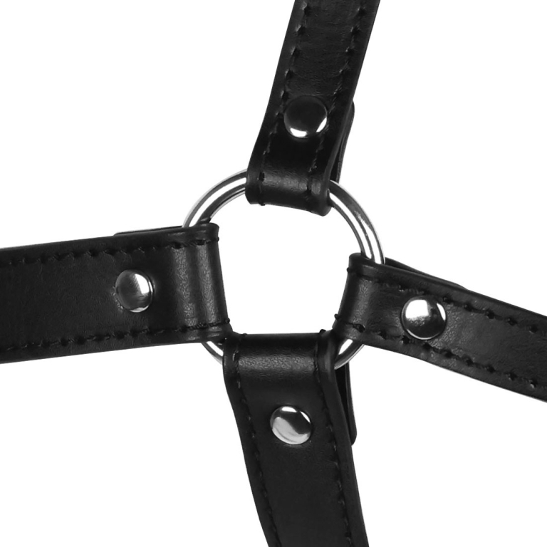 Xtreme – Headharness, Spider Gag & Nose Hooks