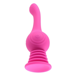 Evolved – Gyro Vibe