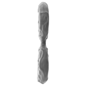 Shaft – Liquid Silicone Double Ring Large