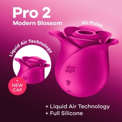 Satisfyer – Pro 2 Modern Blossom