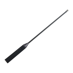 Hidden Desire – Electro Shock Cane