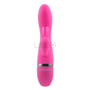 Foreplay Frenzy – Bunny