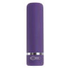 Evolved – Purple Passion Bullet