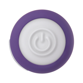 Evolved – Purple Passion Bullet