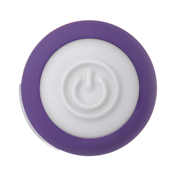 Evolved – Purple Passion Bullet